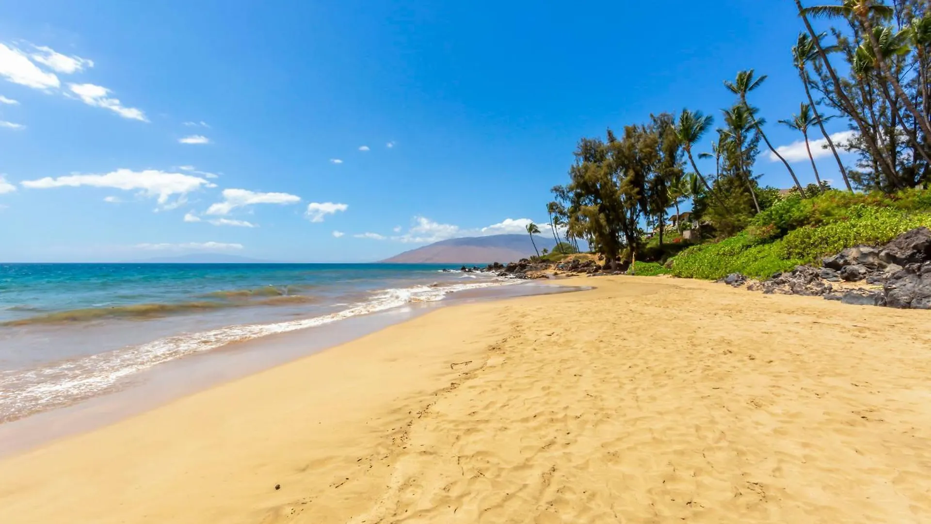 Serene Hawaiian Beachside Bliss 基黑