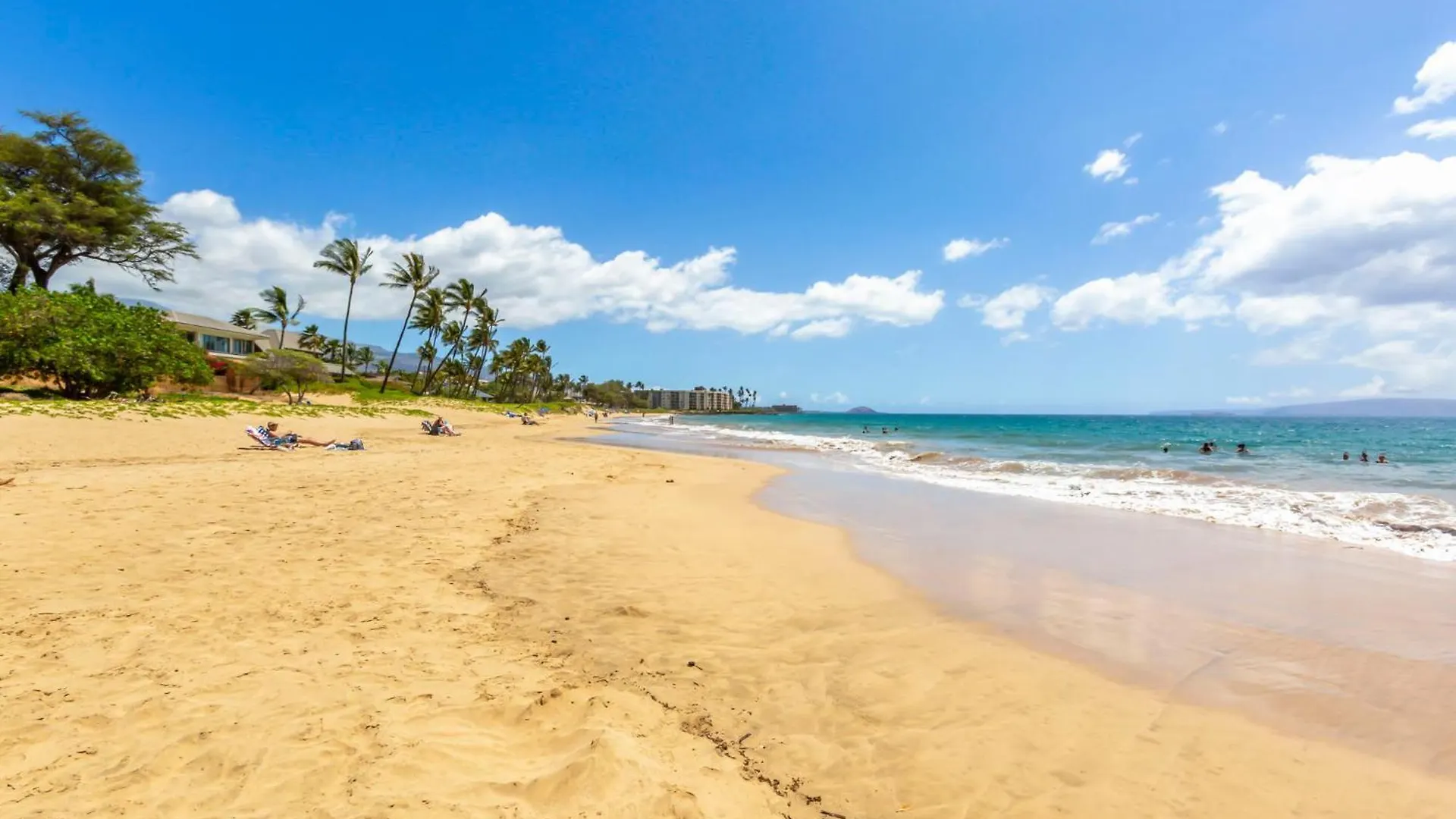 Serene Hawaiian Beachside Bliss 基黑